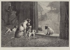Hainler Çemberi: Dante